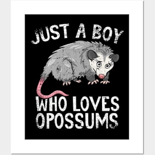 Just A Boy Who Loves Opossums Posters and Art